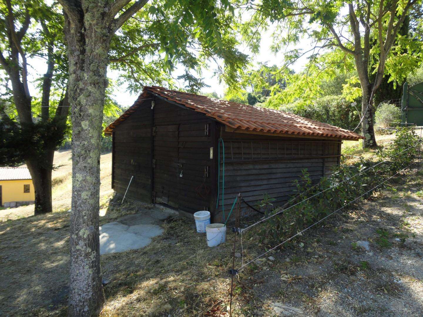  - foto 24