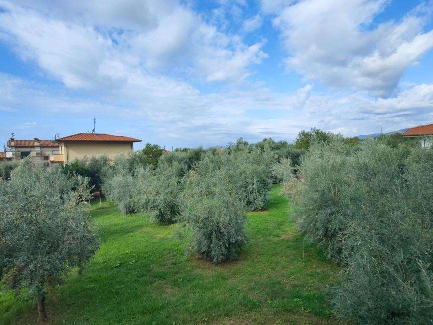 immagine annuncio 3 di 11