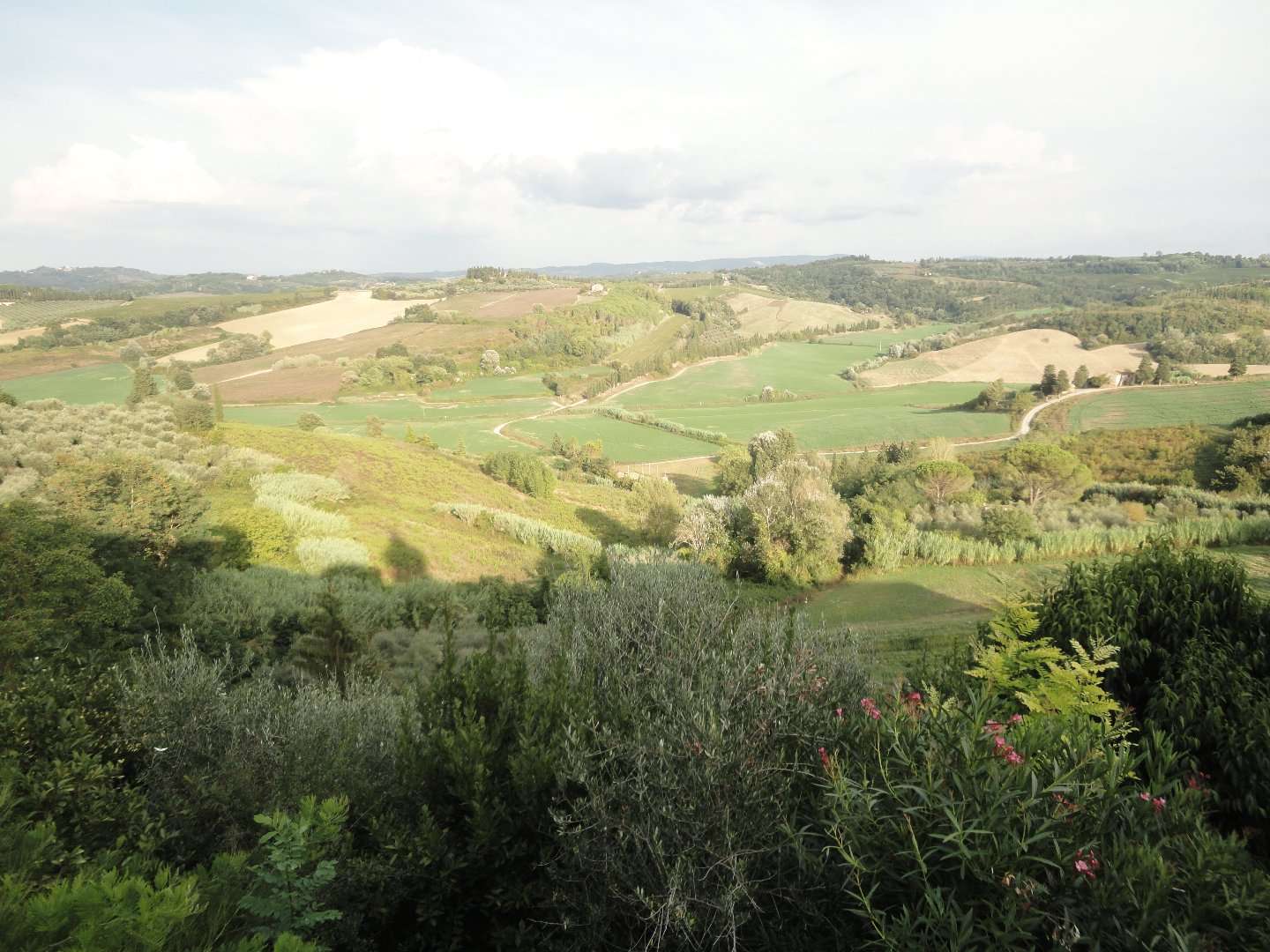  - foto 2