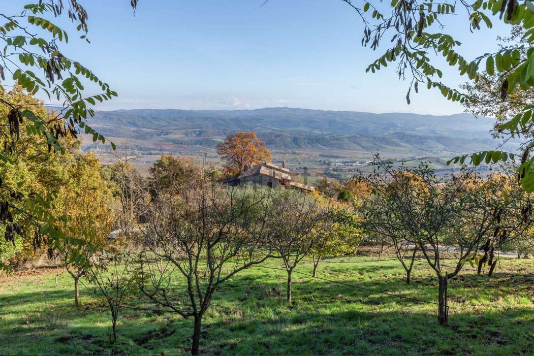  - foto 42