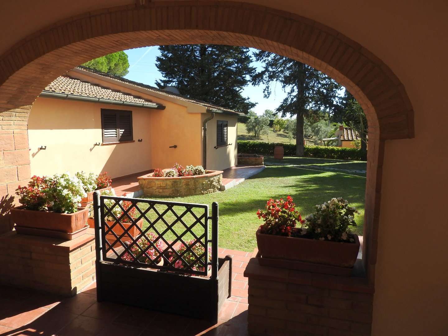  - foto 5