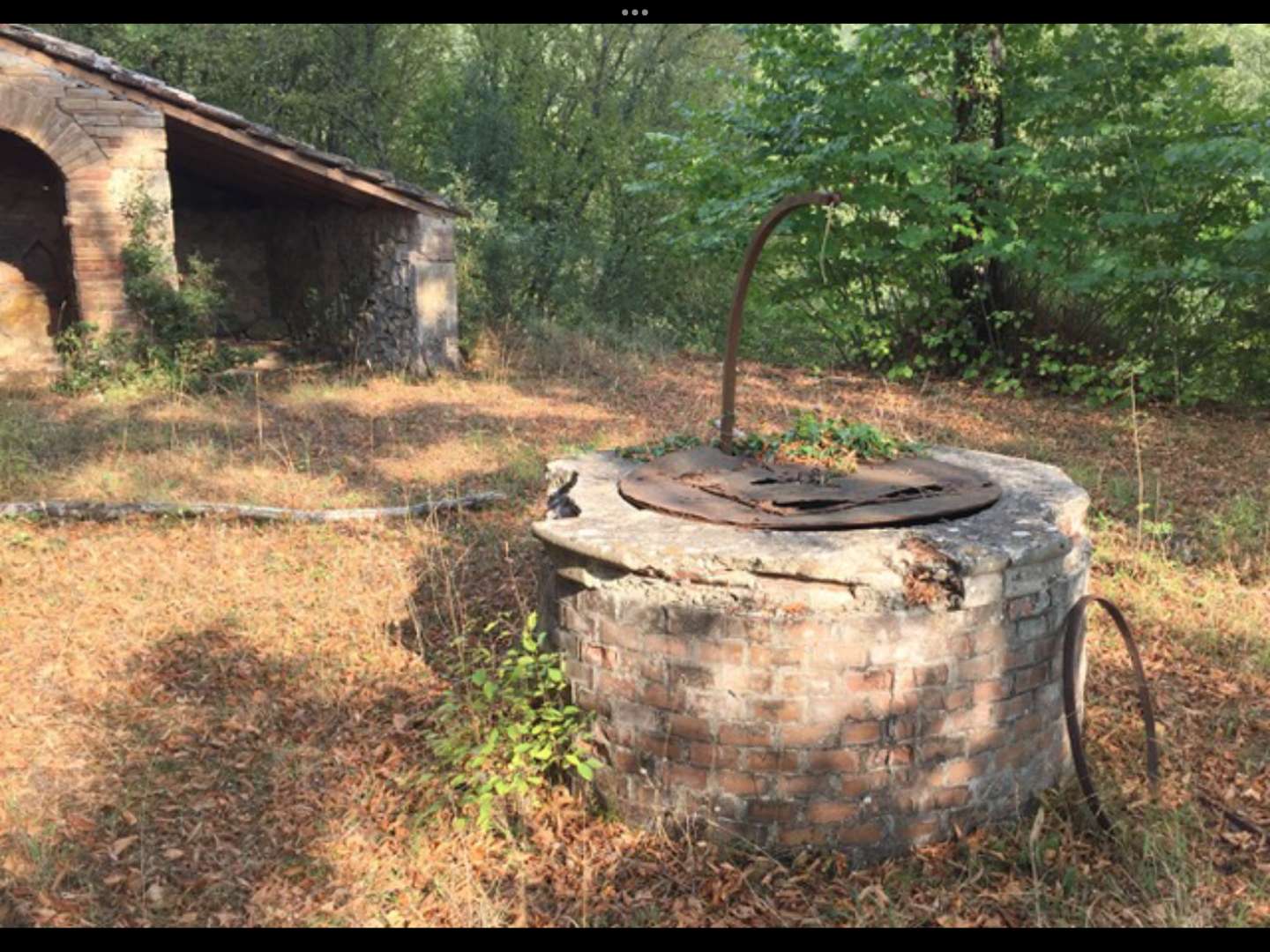  - foto 10