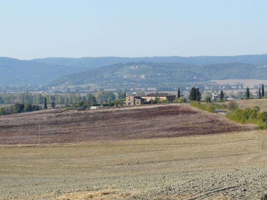immagine annuncio 4 di 6