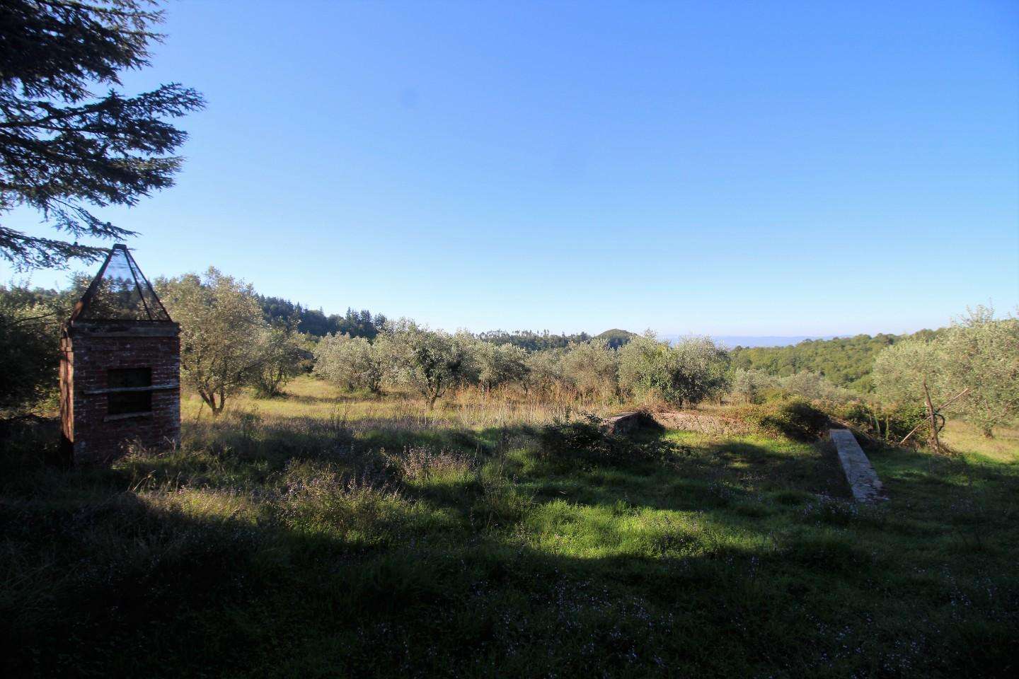  - foto 34