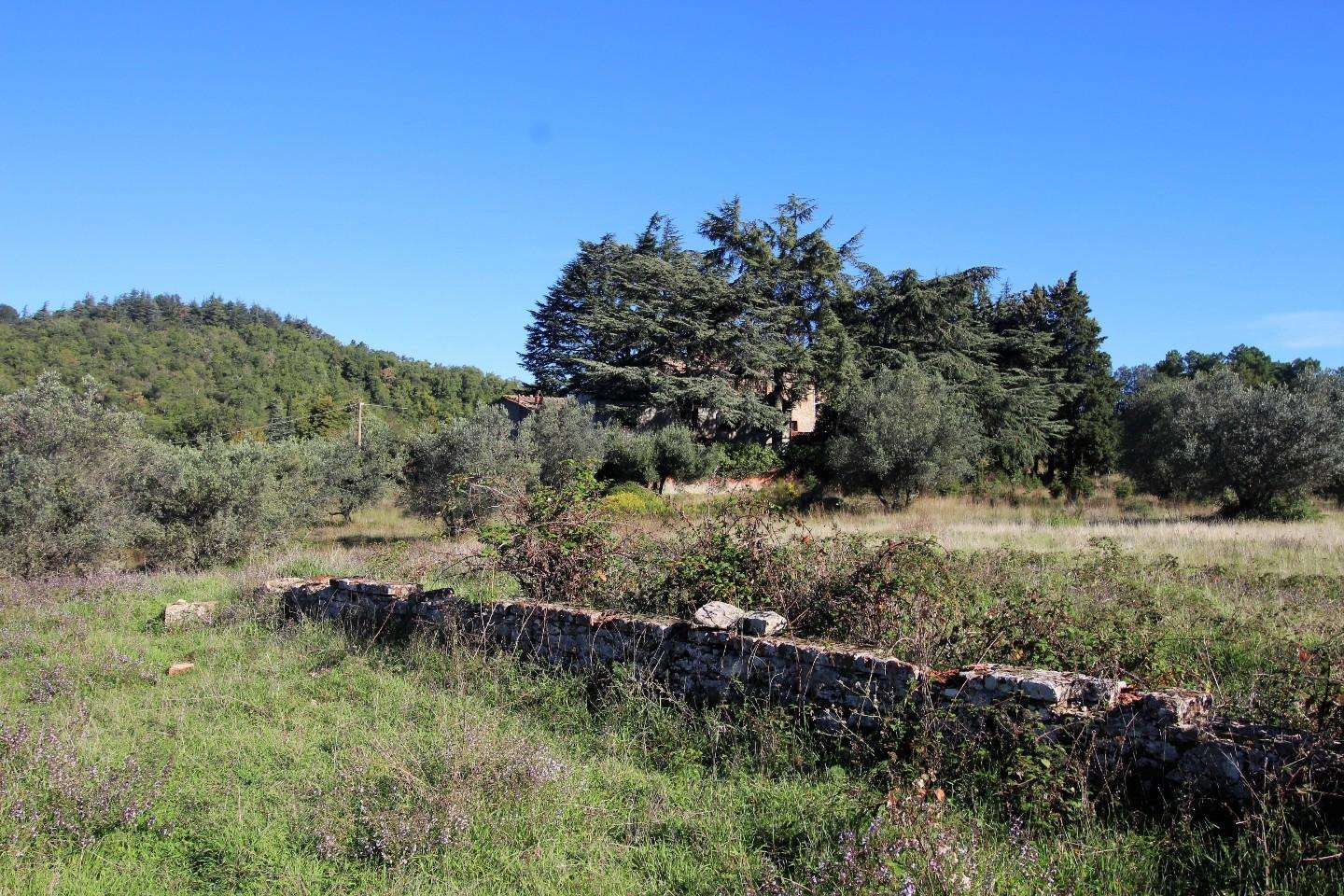  - foto 39