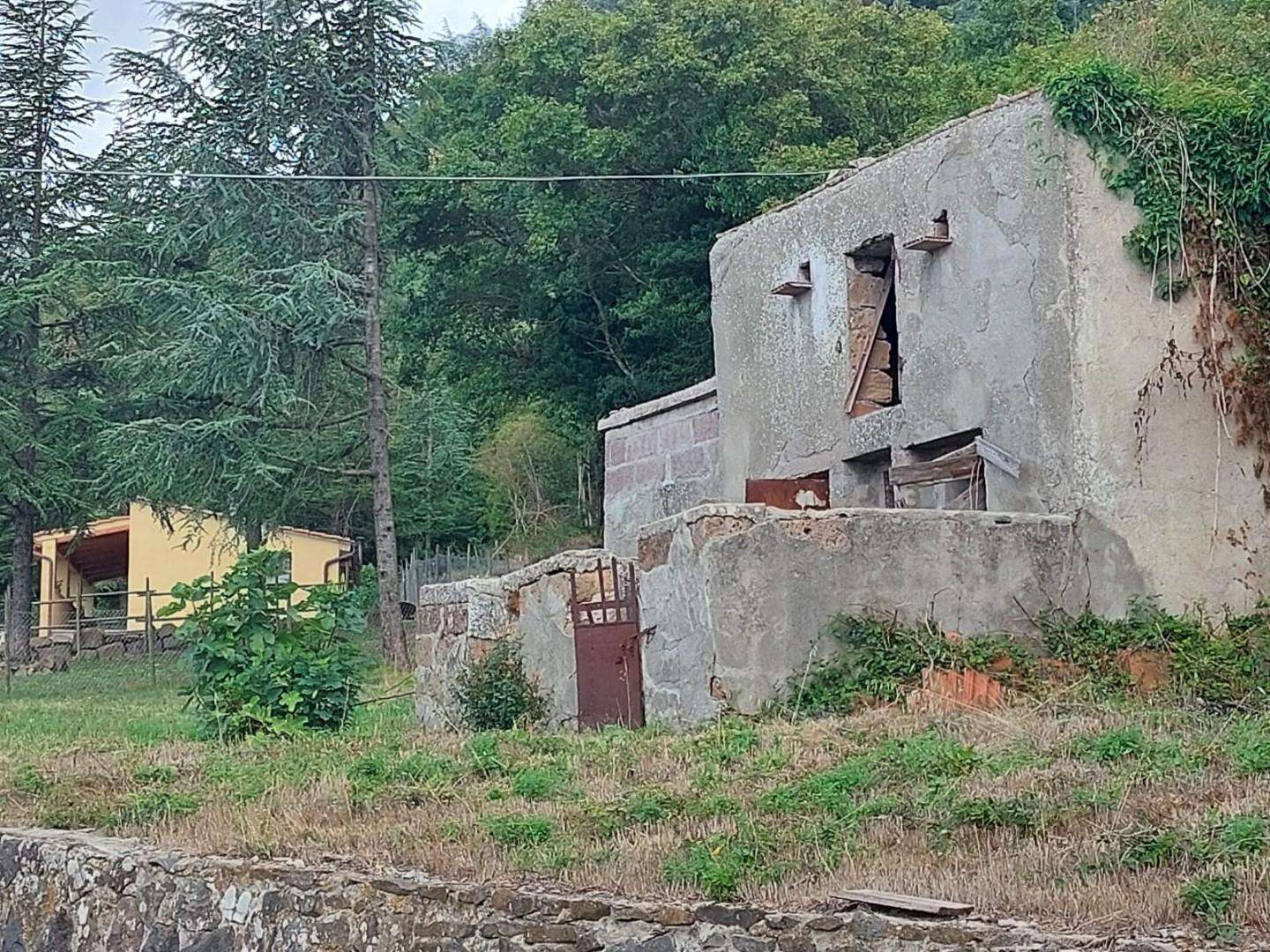 immagine annuncio 2 di 11