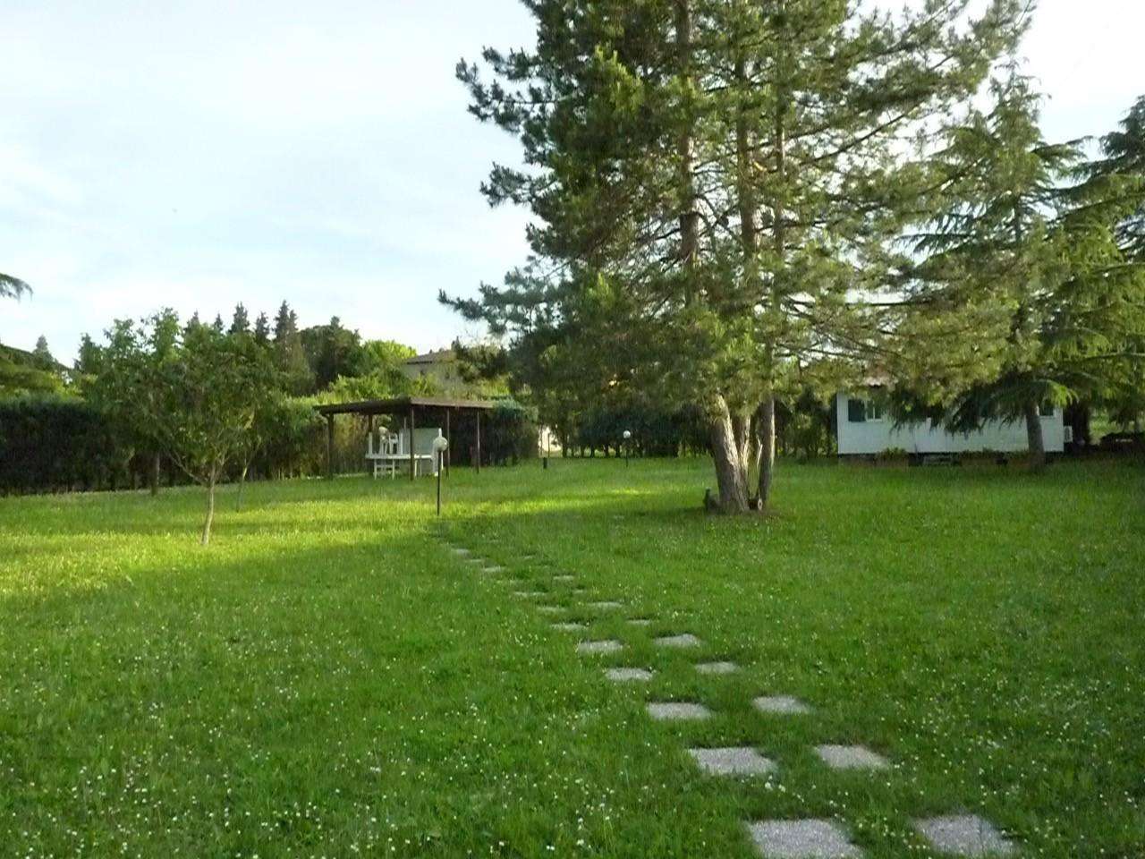  - foto 11