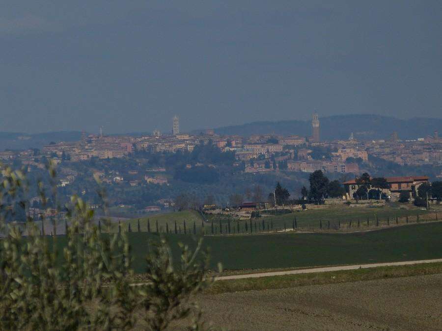 immagine annuncio 5 di 14