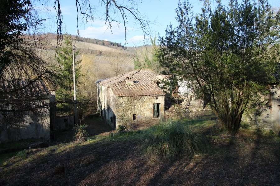 immagine annuncio 1 di 12
