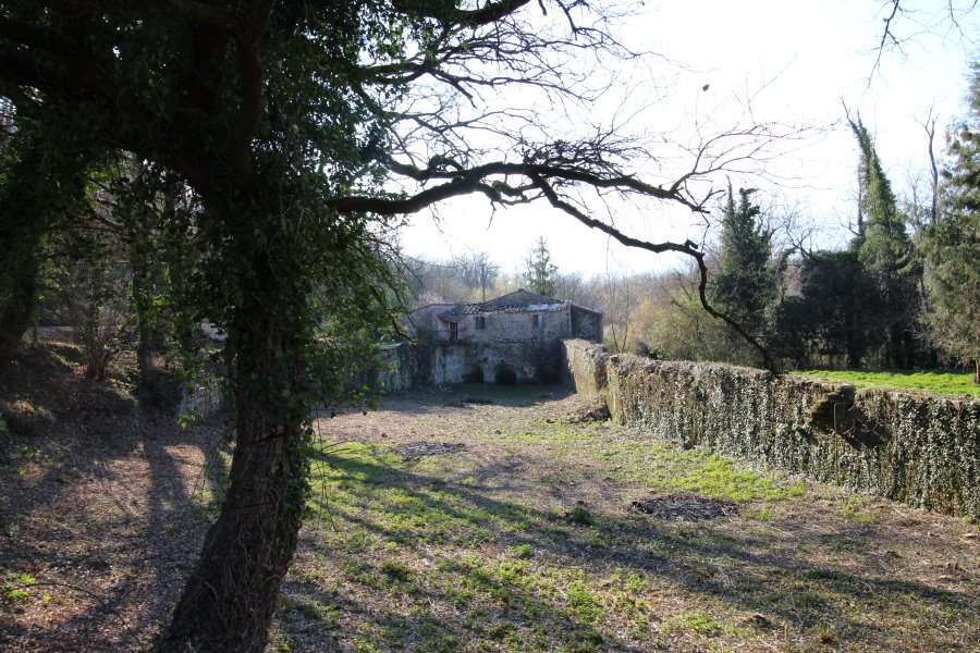 immagine annuncio 3 di 12