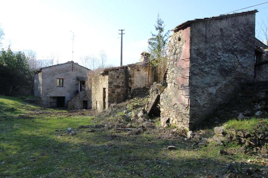 immagine annuncio 4 di 12