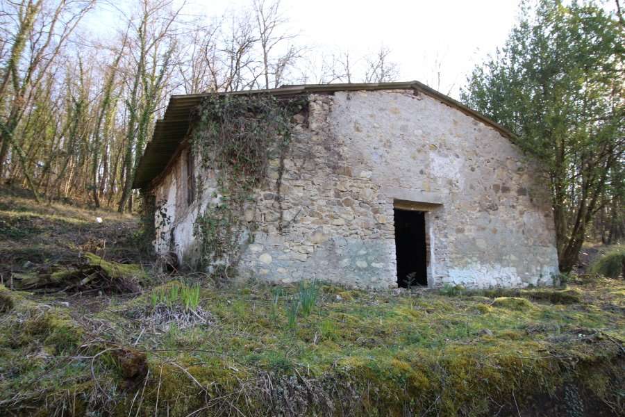 immagine annuncio 5 di 12