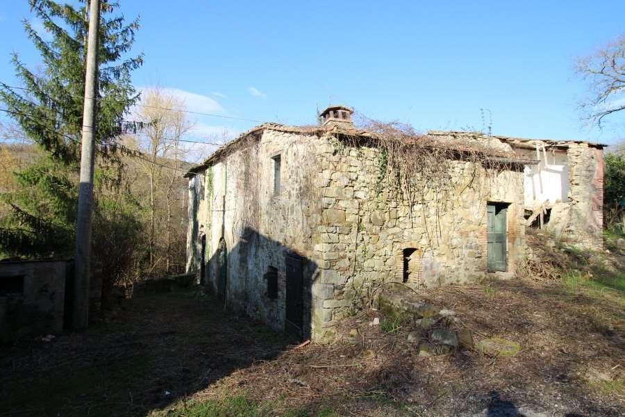immagine annuncio 7 di 12