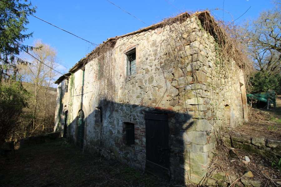 immagine annuncio 8 di 12