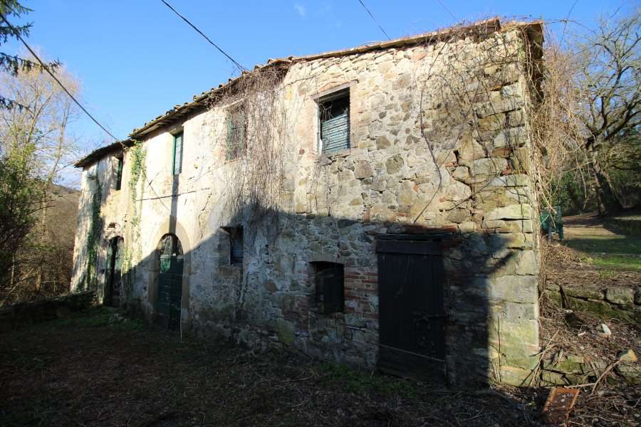 immagine annuncio 10 di 12