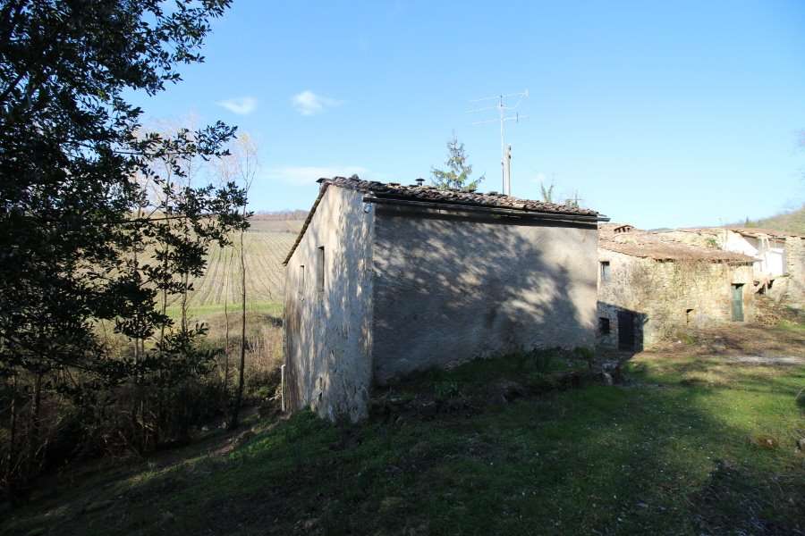 immagine annuncio 11 di 12