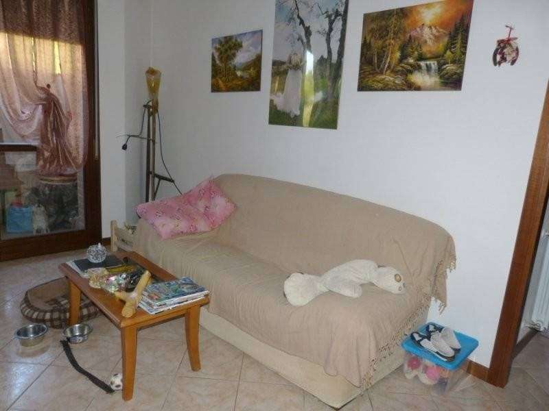  - foto 8