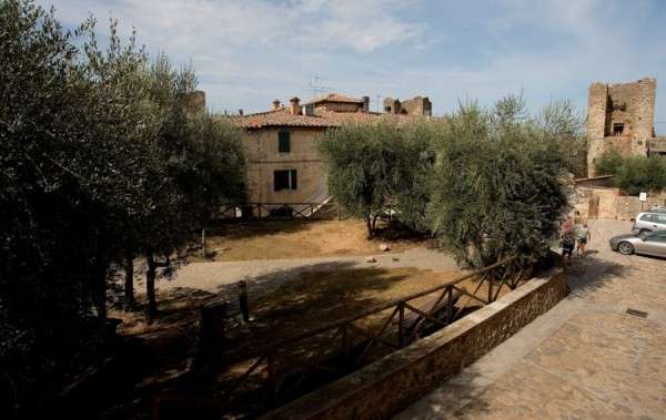 immagine annuncio 6 di 9