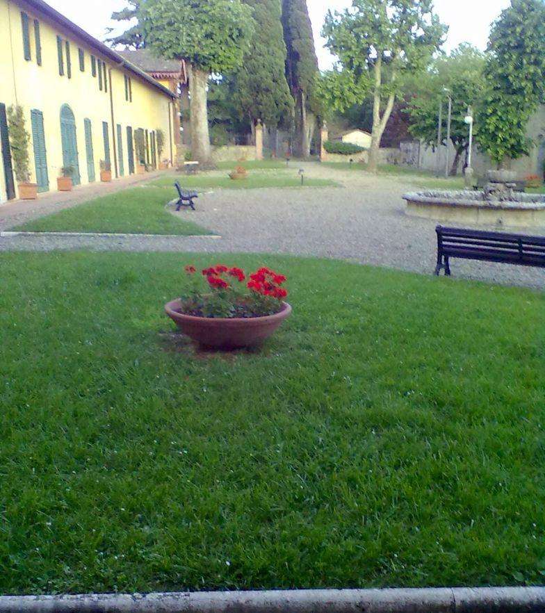 - foto 31