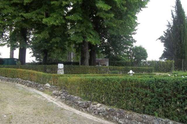  - foto 11