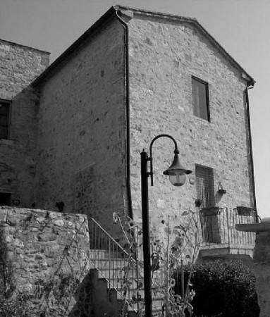 immagine annuncio 4 di 7