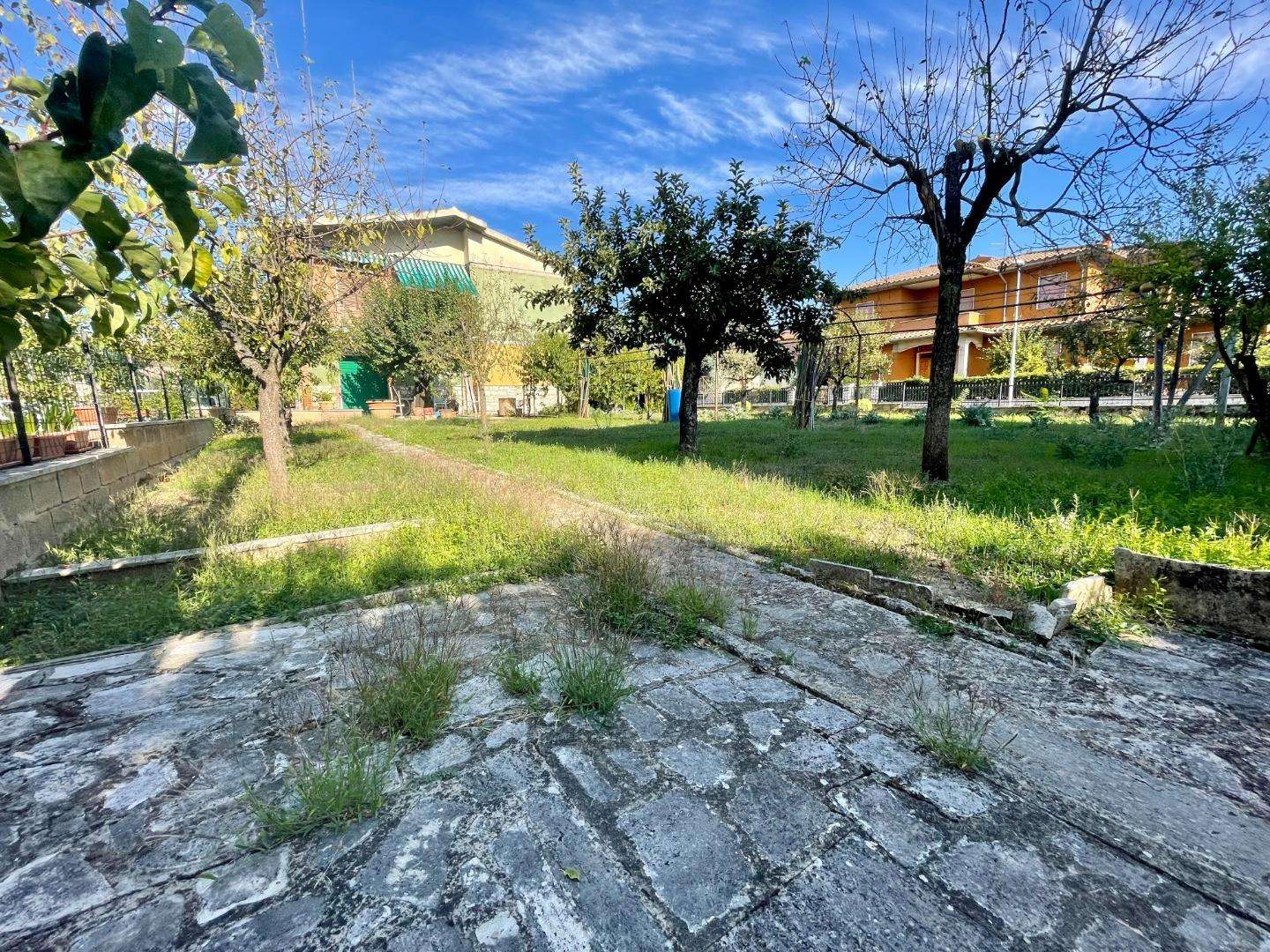  - foto 5