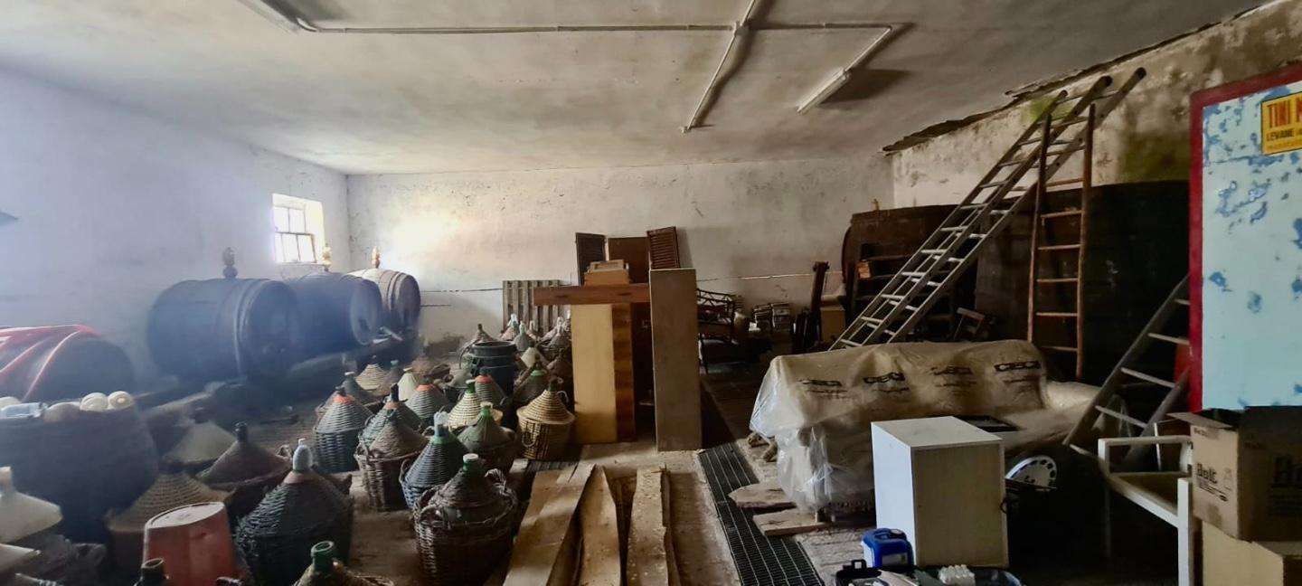  - foto 15