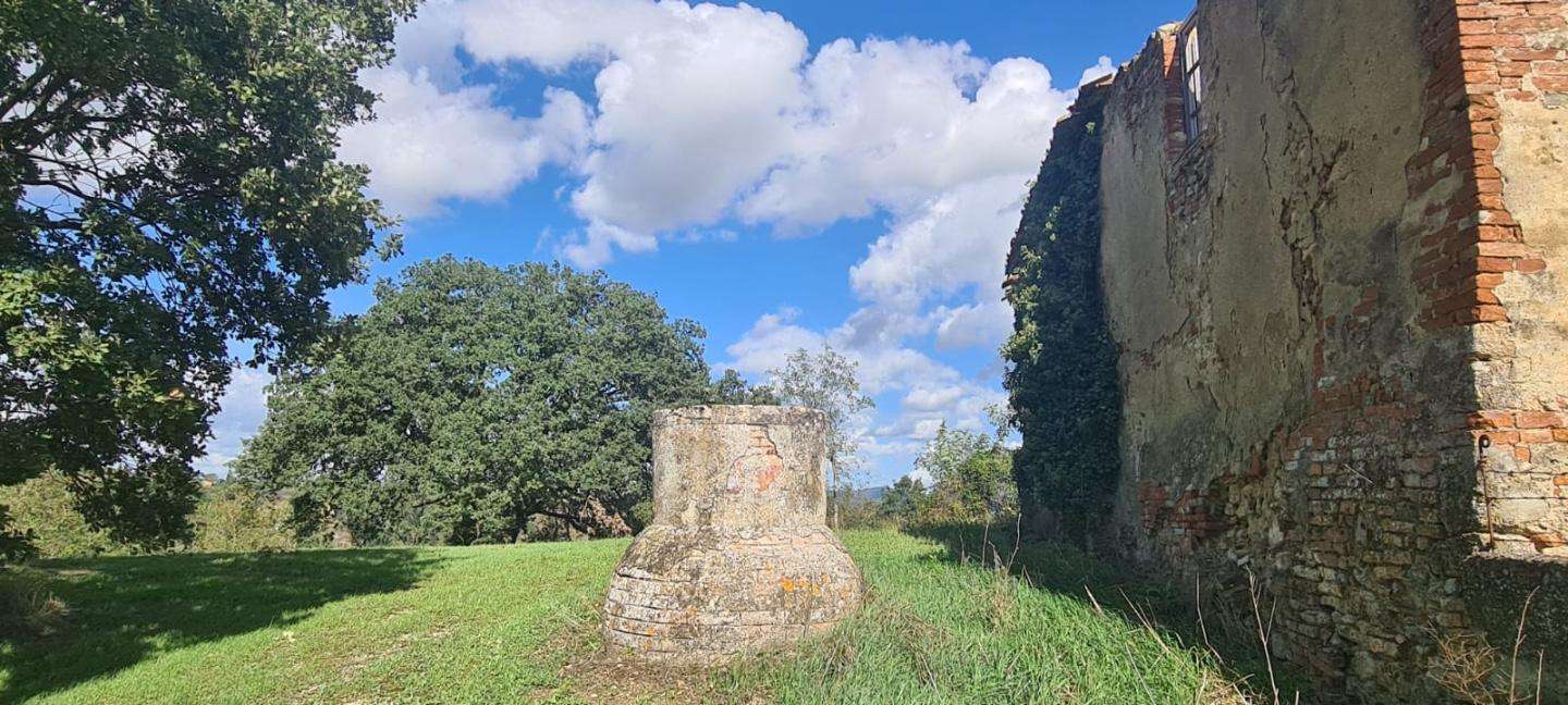  - foto 20