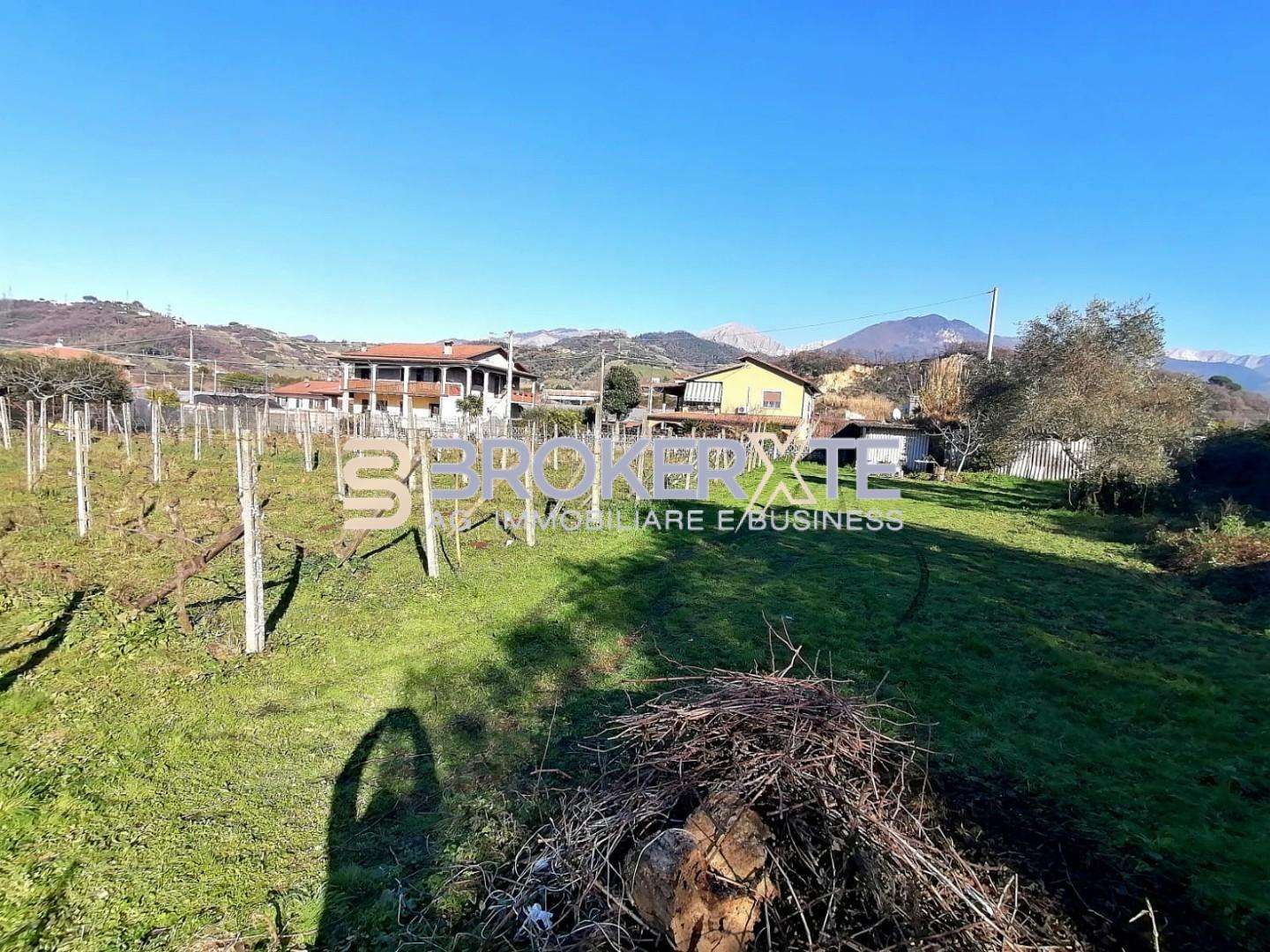  - foto 4