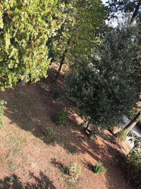  - foto 14