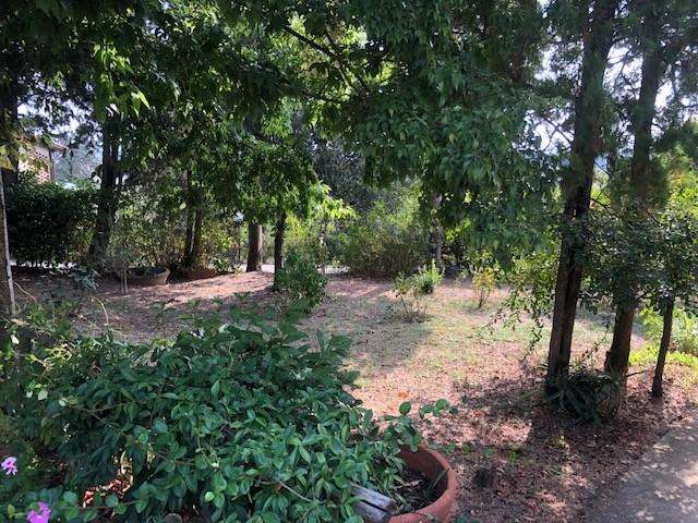  - foto 16
