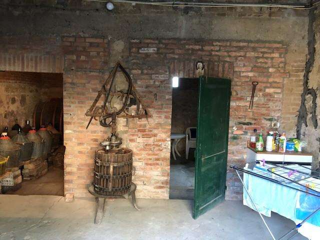  - foto 19