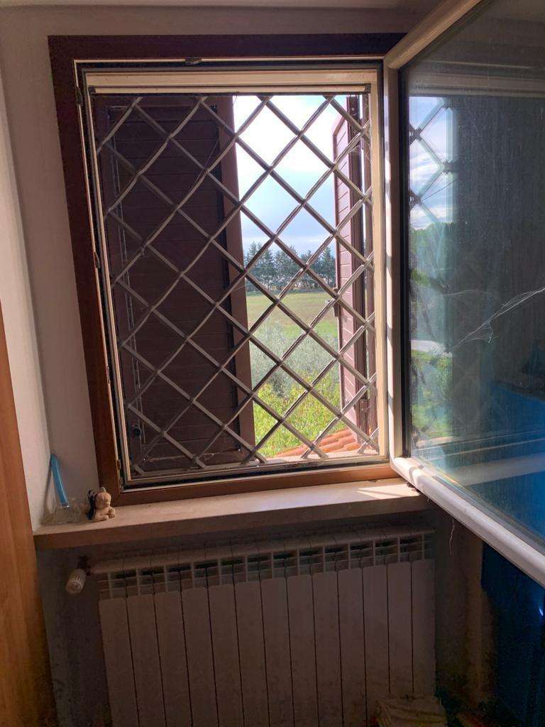  - foto 21
