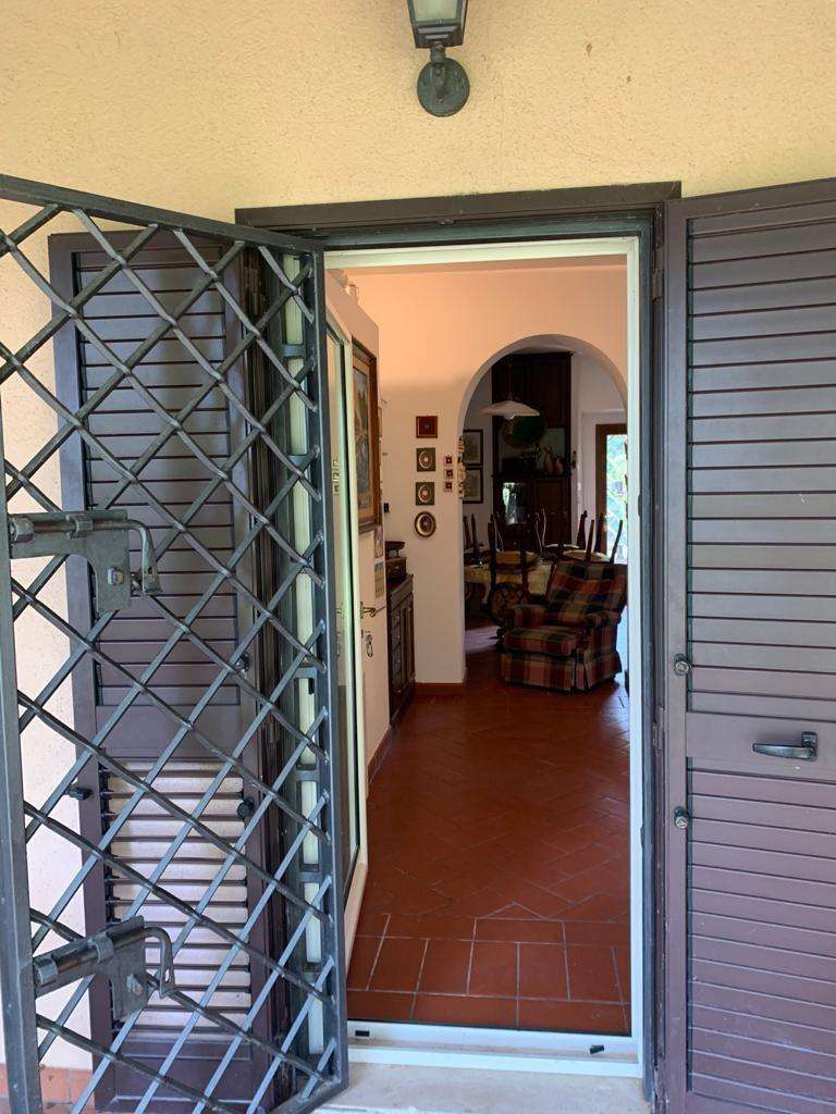  - foto 51