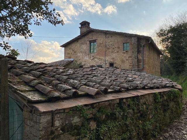  - foto 4