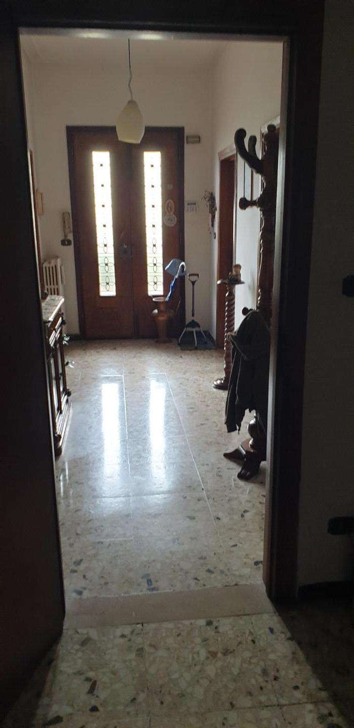  - foto 43