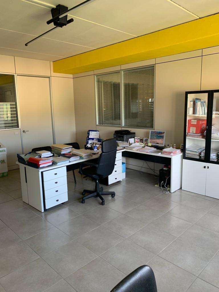 immagine annuncio 9 di 13