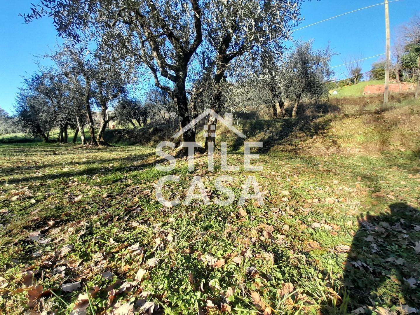 Terreno agricolo Montecarlo LU,  55015, Montecarlo