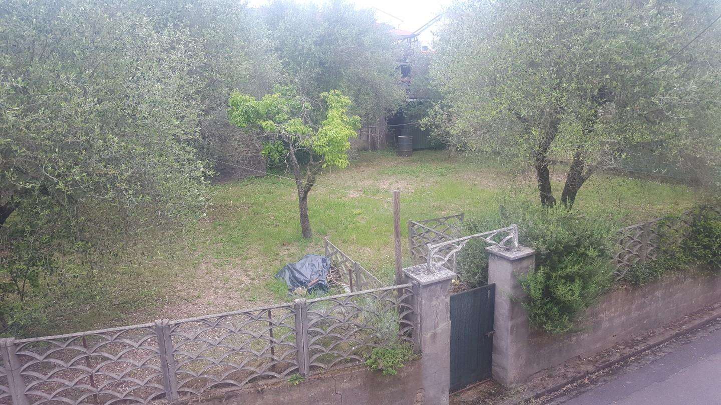 immagine annuncio 4 di 14