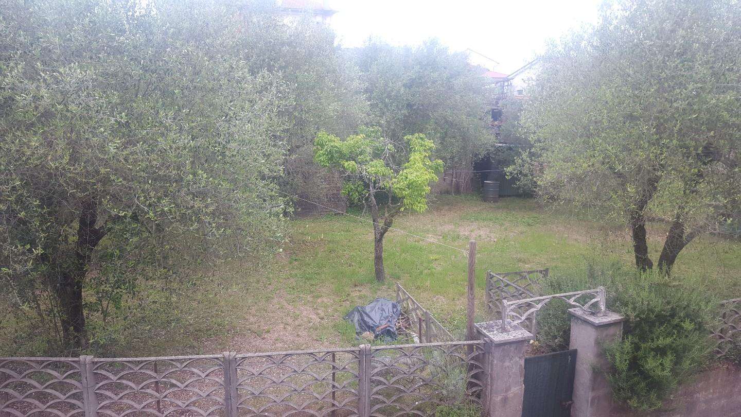 immagine annuncio 5 di 14