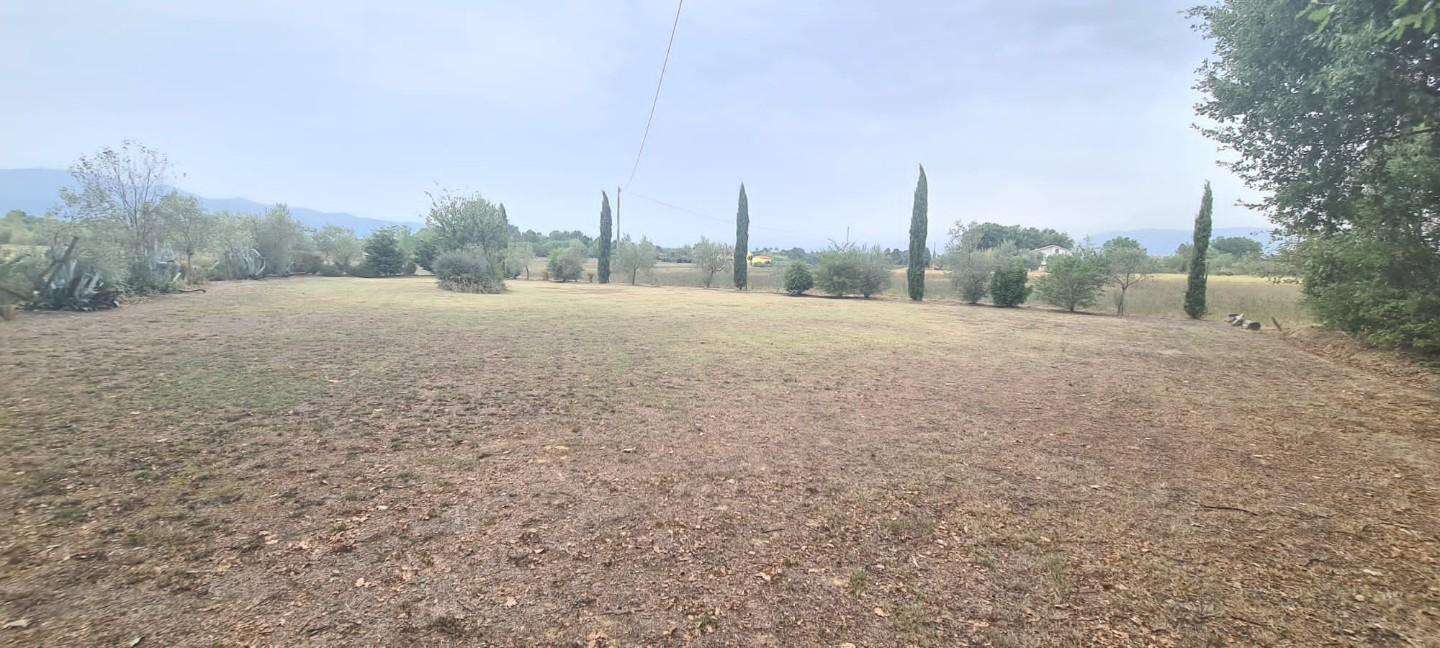 Terreno agricolo in Vendita a Castelfranco di Sotto PI