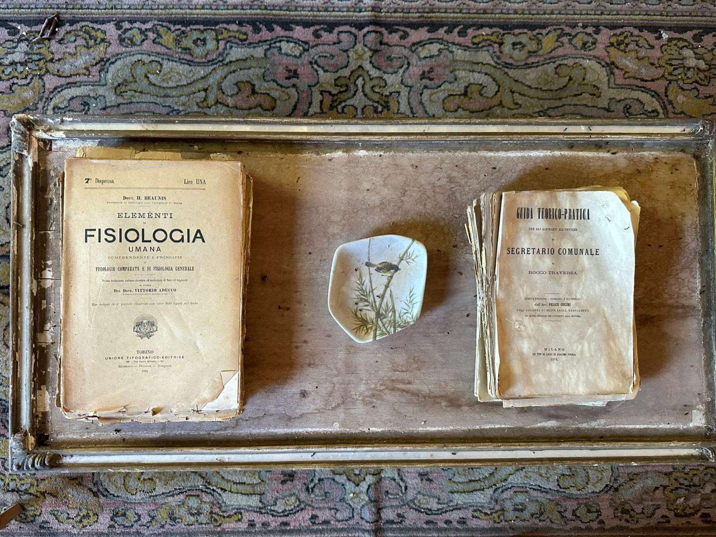  - foto 24