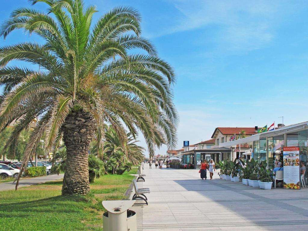 Azienda agricola Lido di Camaiore LU,, Camaiore