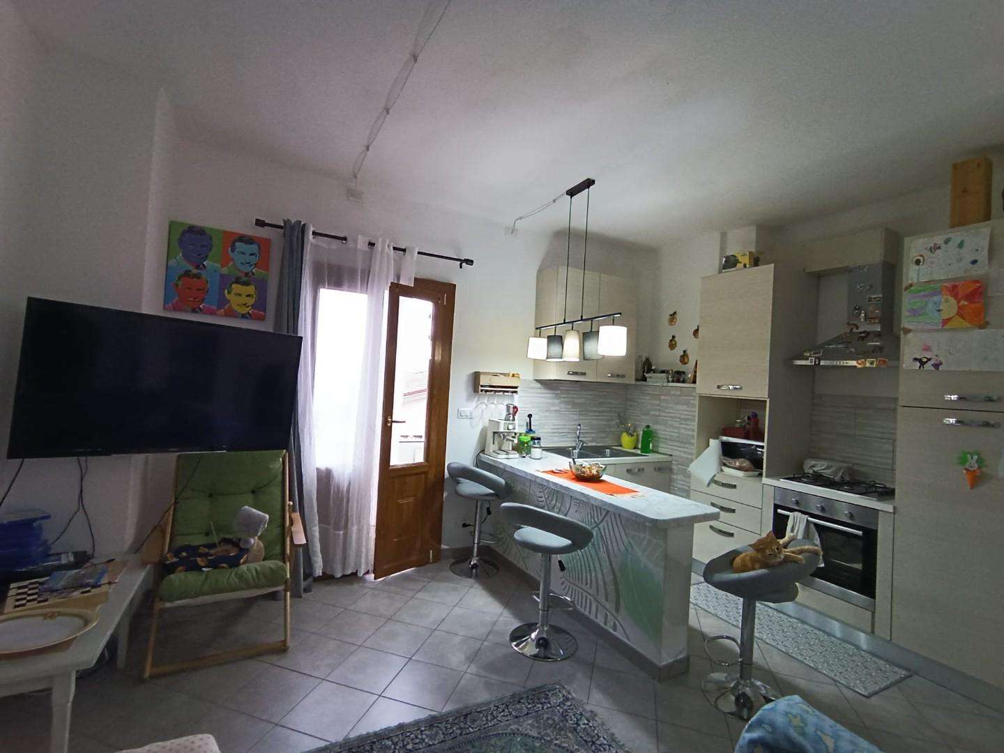 Appartamento in Vendita a Castelnuovo di Garfagnana Via Giovan Battista Vannugli,