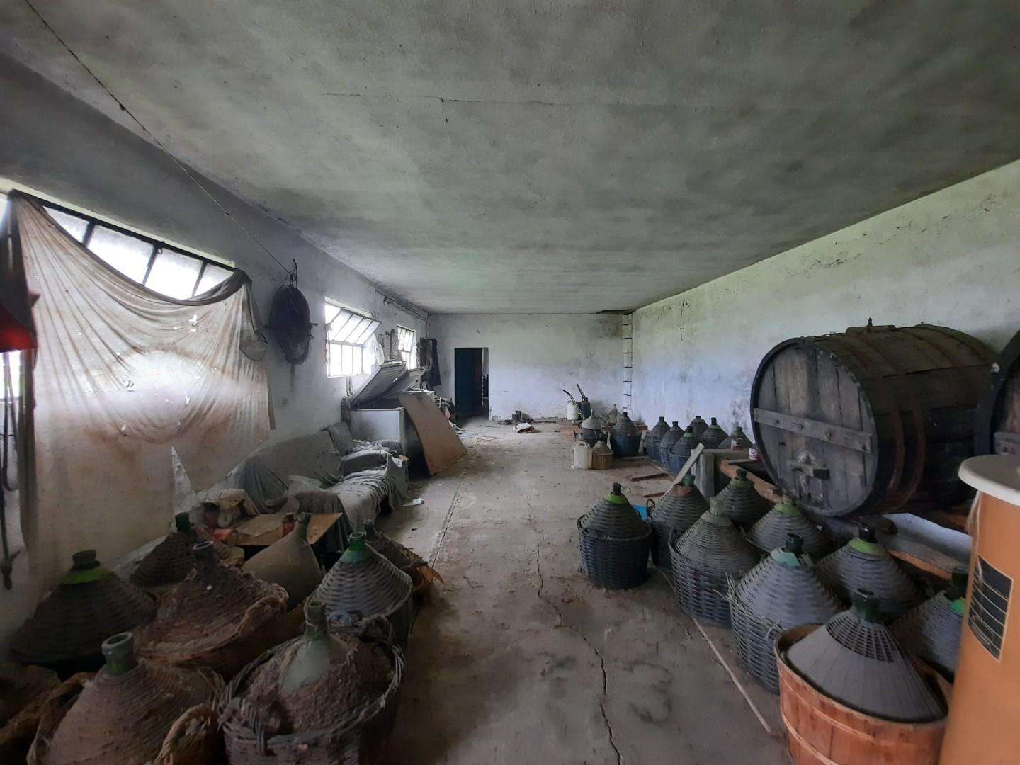  - foto 7