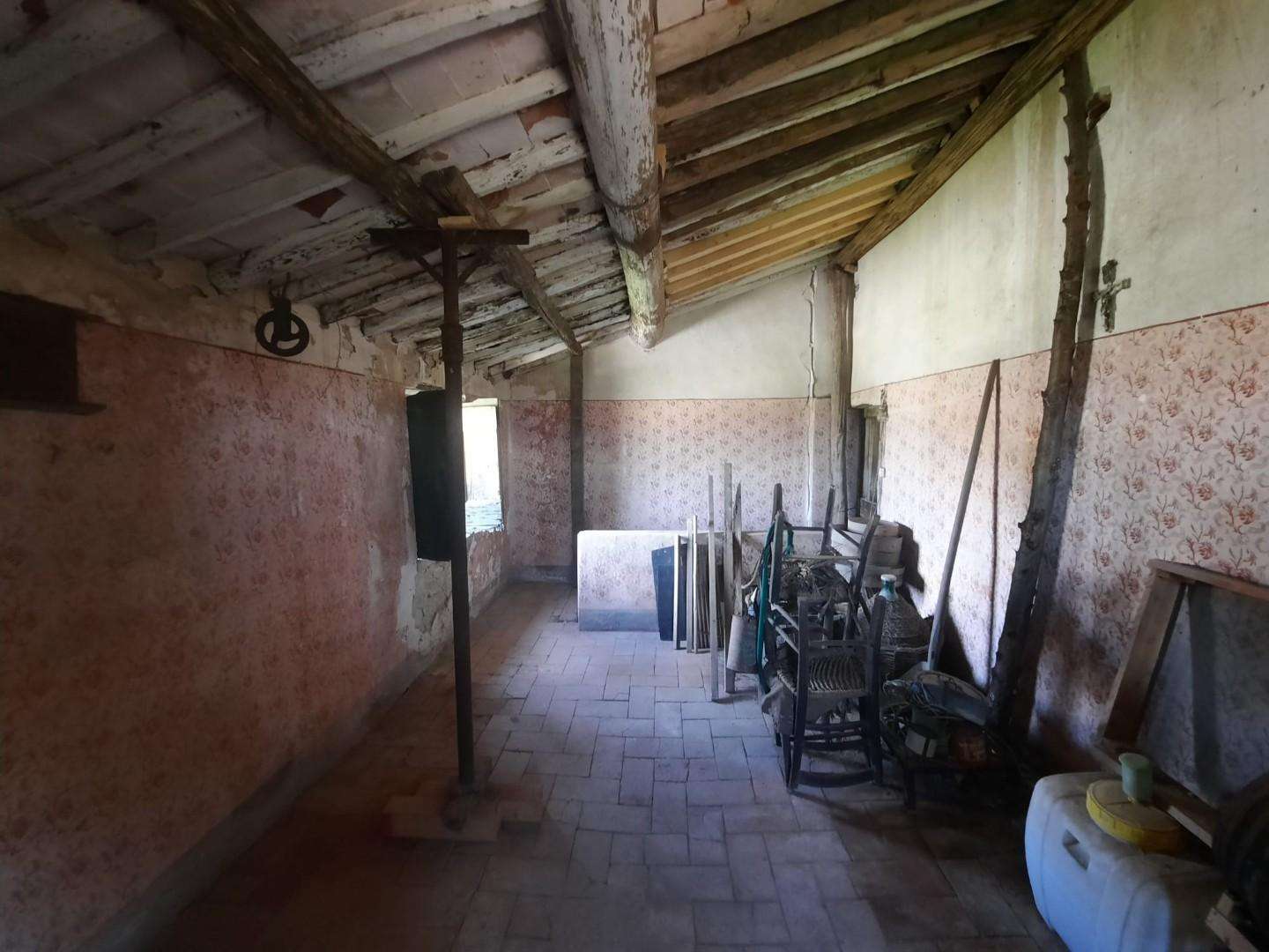 immagine annuncio 8 di 12