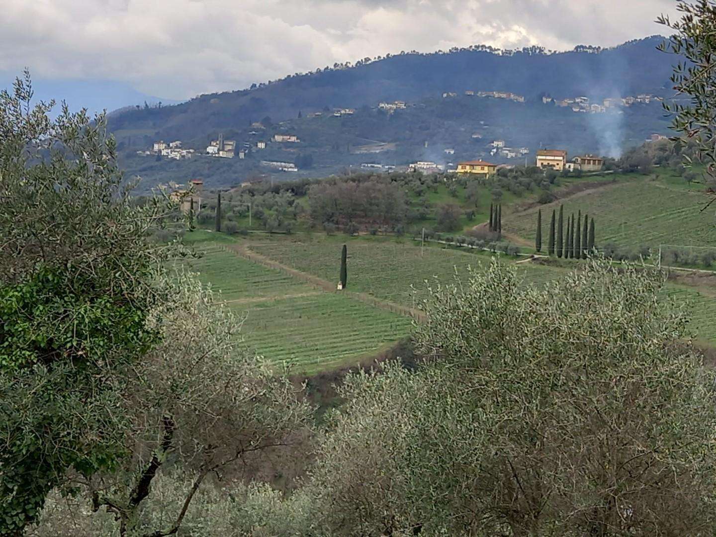 Casale in Vendita a Capannori Via Romana,