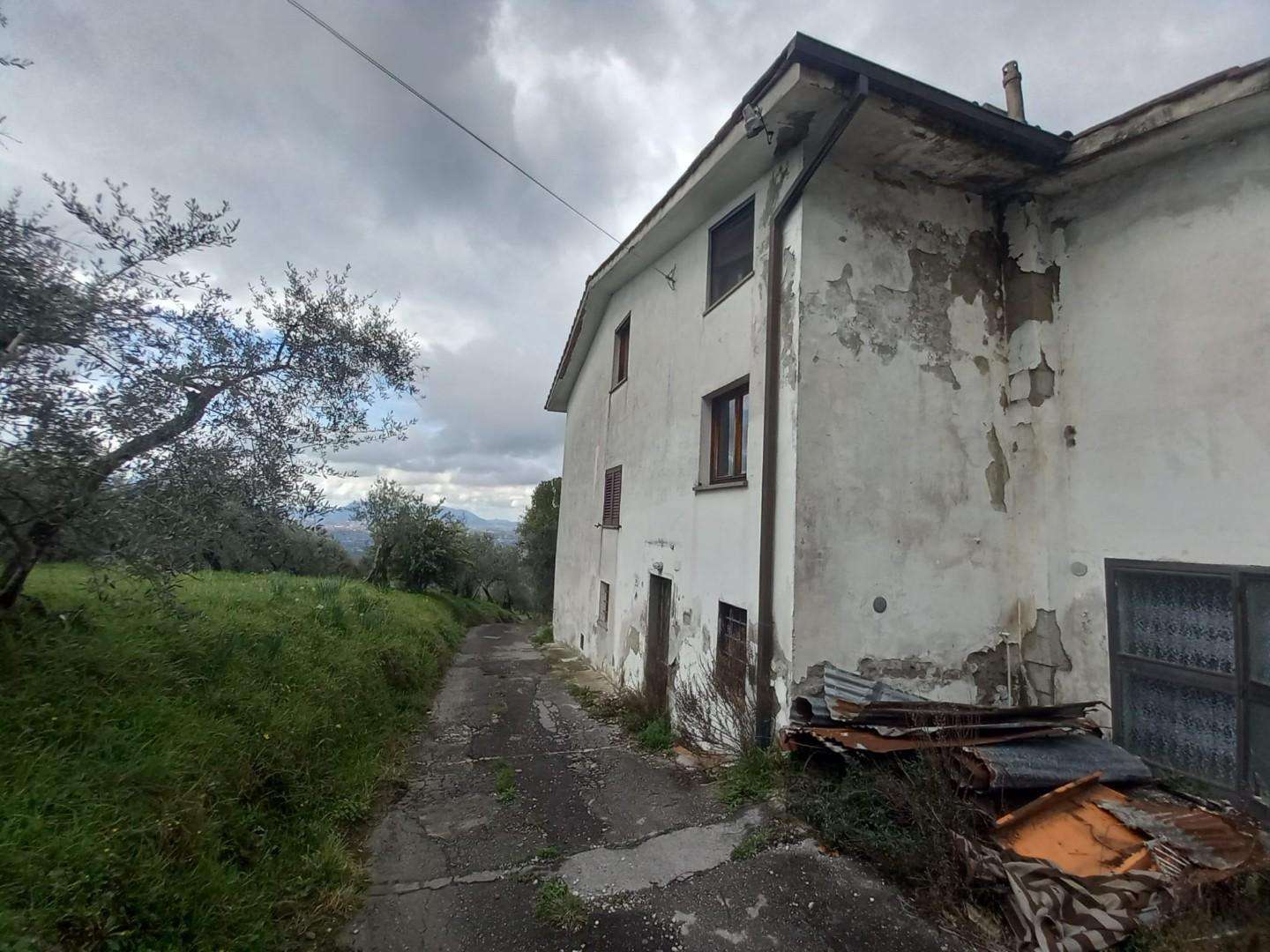 immagine annuncio 1 di 12