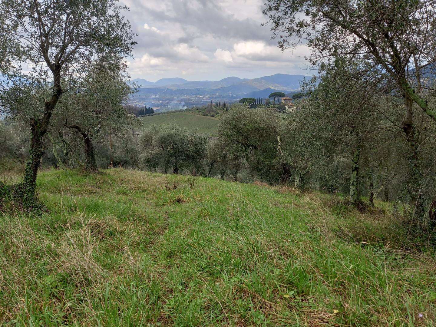 immagine annuncio 4 di 12