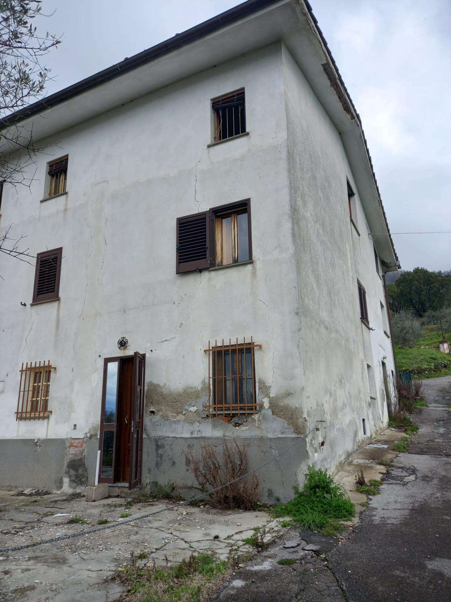immagine annuncio 8 di 12